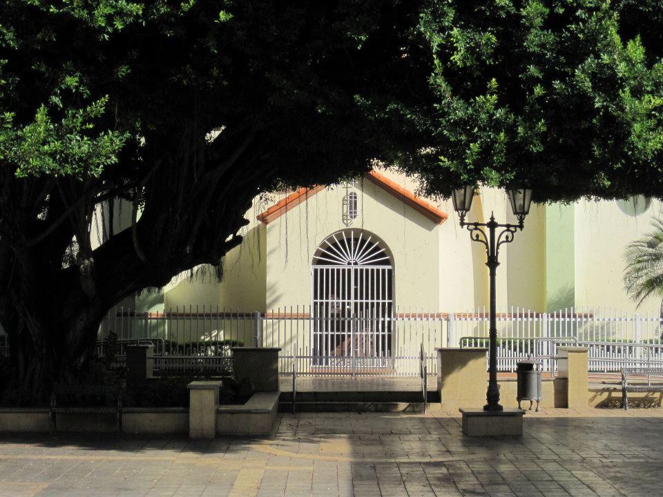 Parroquia San Isidro Labrador - Maunabo - 2012 00020